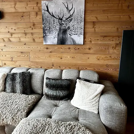 Appartement Face Au Glacier Les Deux Alpes