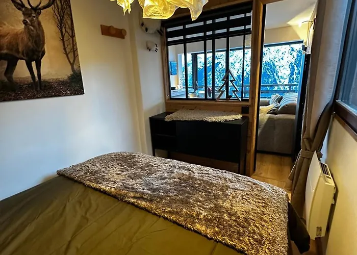 Face Au Glacier * Les Deux Alpes