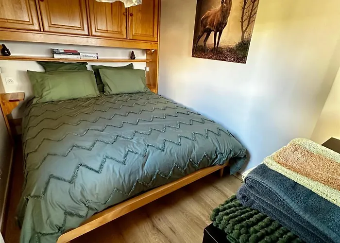 Face Au Glacier * Les Deux Alpes