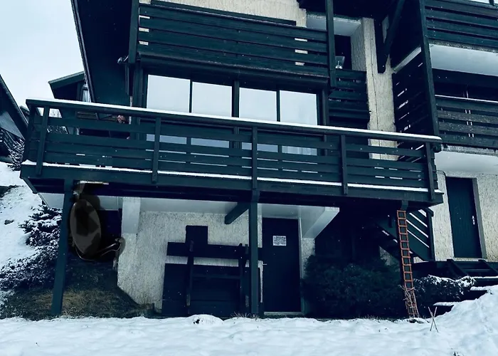 Apartament Face Au Glacier Les Deux Alpes